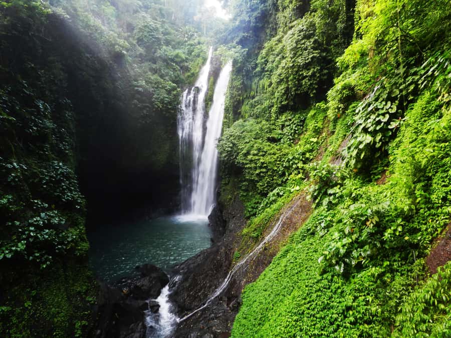 Bali: Sambangan Waterfalls Trekking, Sliding, & Jumping Trip - Key things that make this trip worth your time