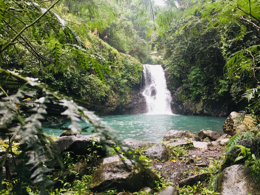 Bali: Sambangan Waterfalls Trekking, Sliding, & Jumping Trip - Base camp food and the shower setup after the wet fun
