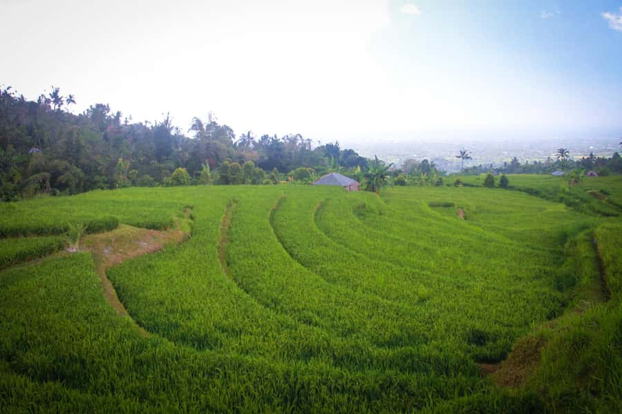 Bali: Sambangan Waterfalls Trekking, Sliding, & Jumping Trip - Blue Lagoon and Secret Garden: canyon pools with swimming time