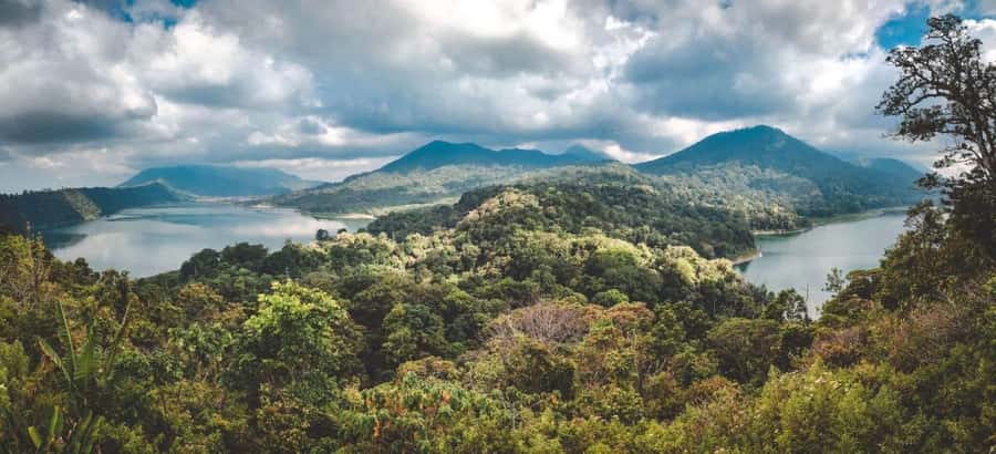 Bali: Sekumpul and Banyumala Waterfall Guided Trek - Key Things I’d Highlight Before You Go
