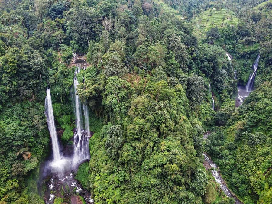 Bali: Sekumpul and Banyumala Waterfall Guided Trek - Sekumpul Waterfall: Rice Fields, Natural Pools, and a Photo-Ready Plan