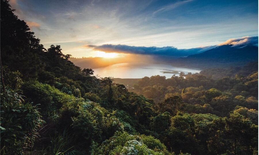 Bali: Twin Lakes, Handara Gates, and Forest Trekking Tour - Price and Value: Why This Tour Can Be a Good Deal
