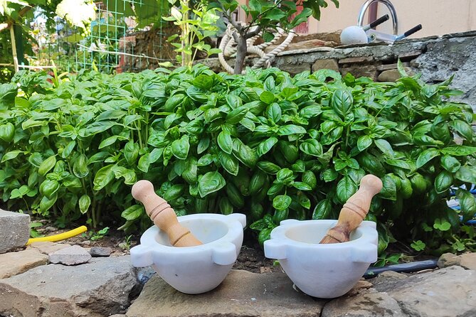 BarCa Winery Cinqueterre Trekking & Wine Tasting & Pesto Class - Price and Value: Why $78.10 Can Make Sense in Cinque Terre