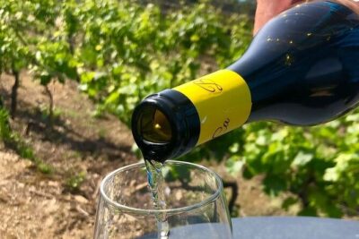 BarCa Winery Cinqueterre Trekking & Wine Tasting & Pesto Class - The Vineyard Trek to the Manarola–Volastra Path