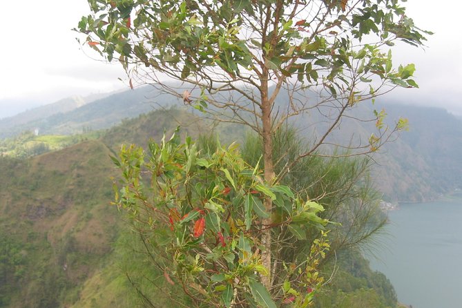 Batur Caldera Sunrise Trekking - Guides and group energy: why Wayan, Gede, Nano, and Adi show up in people’s stories