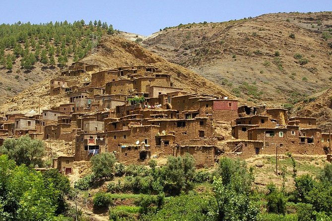 Berber villages trek Day trip - Stop 2: Plateau du Kik walks through cereal crops and High Atlas views