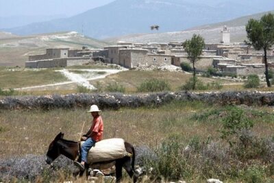 Berber villages trek Day trip - Stop 1: Lalla Takerkoust Lake for a calm reset