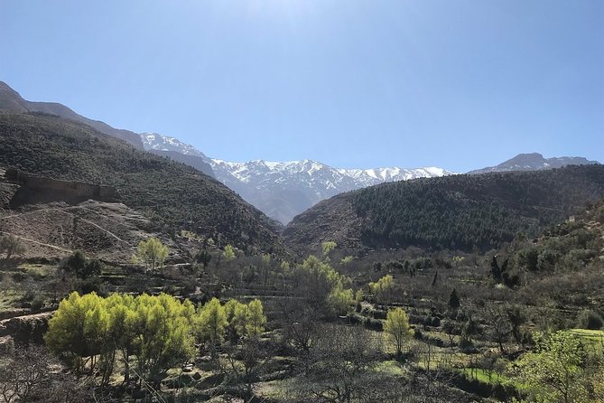Berber villages trek Day trip - Asni area: market day energy plus charming village paths