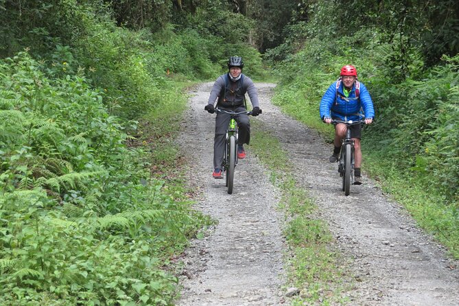 Best 5 Days Kilimanjaro Bike Trek Tour via Marangu Kilema Route - Day 2: Alpine Desert Riding with a Mawenzi/Horombo Loop