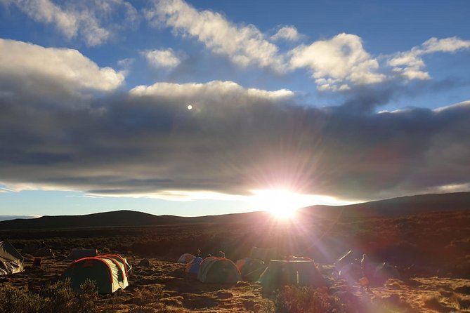 Best Kilimanjaro Adventure 7 days Machame route Trekking - Mweka Exit on Day Seven: A Forest Walk and a Return Drive