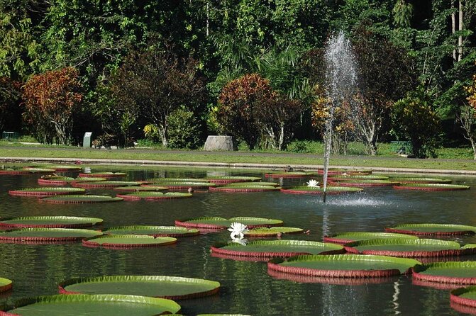 Bogor Botanical Garden & Rainforest Trekking to Hidden Waterfall - Key Highlights to Know Before You Go