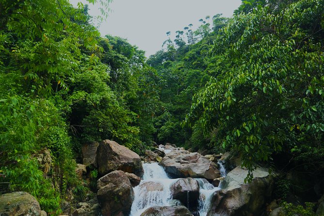 Bogor Botanical Garden & Rainforest Trekking to Hidden Waterfall - Why Bogor Feels Like a Fast Reset from Jakarta