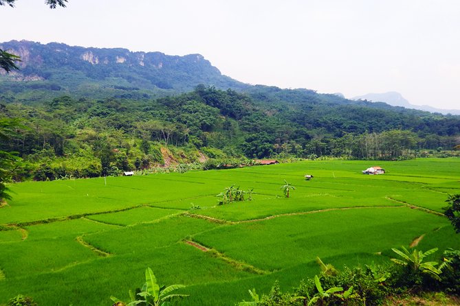 Bogor Botanical Garden & Rainforest Trekking to Hidden Waterfall - Bogor Countryside Views and Village Life Between Stops