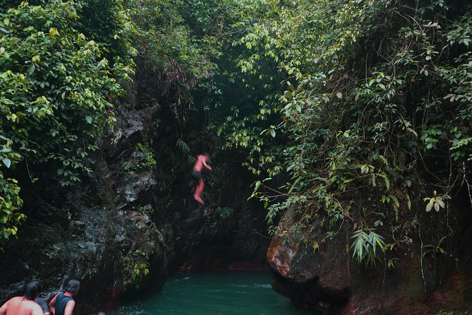 Bogor Botanical Garden & Rainforest Trekking to Hidden Waterfall - Kebun Raya Bogor Botanical Garden: 1817 Science Meets Real Strolling
