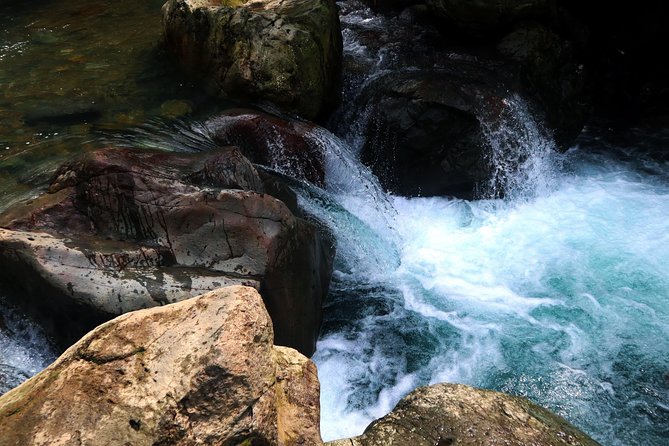 Bogor Botanical Garden & Rainforest Trekking to Hidden Waterfall - Cikaracak Waterfall: 40 Meters of Roar, Splash, and Mud Zones