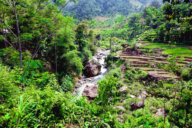 Bogor Botanical Garden & Rainforest Trekking to Hidden Waterfall - Lunch, Water, and Pacing on a Private Tour
