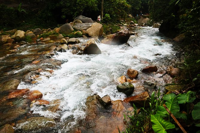 Bogor Botanical Garden & Rainforest Trekking to Hidden Waterfall - Price and Value: What $95 Includes (and Why That Matters)