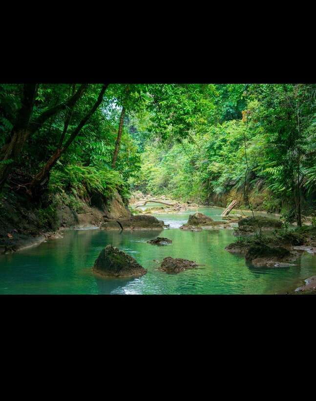 Bohol: Hidden Waterfall Hopping and Jungle Trek Adventure - Teal Pool Falls: The Short Walk to Blue-Green Water