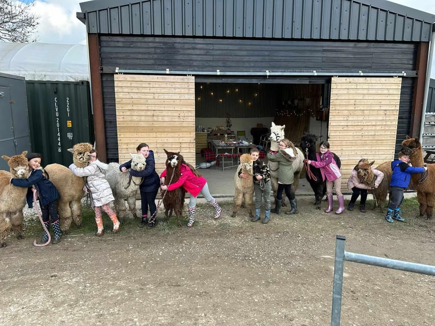 Brackenfield: Alpaca Trek - Gift Shop and Extras: What to Do With That Souvenir Urge