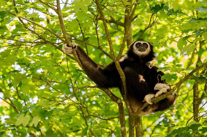 Bukit Lawang Full Day Jungle Trek - What to Pack (So the Day Feels Like a Win, Not a Fight)