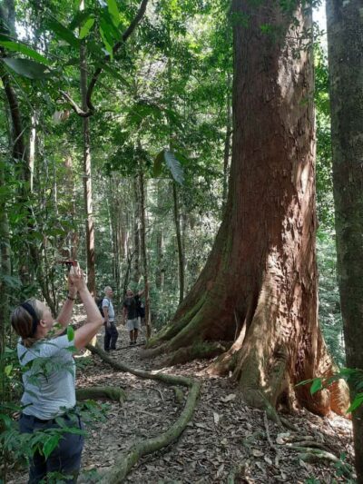 Bukit Lawang: Jungle Trekking and Rafting Day Trip - Lunch and route briefing: where you gear up for jungle time
