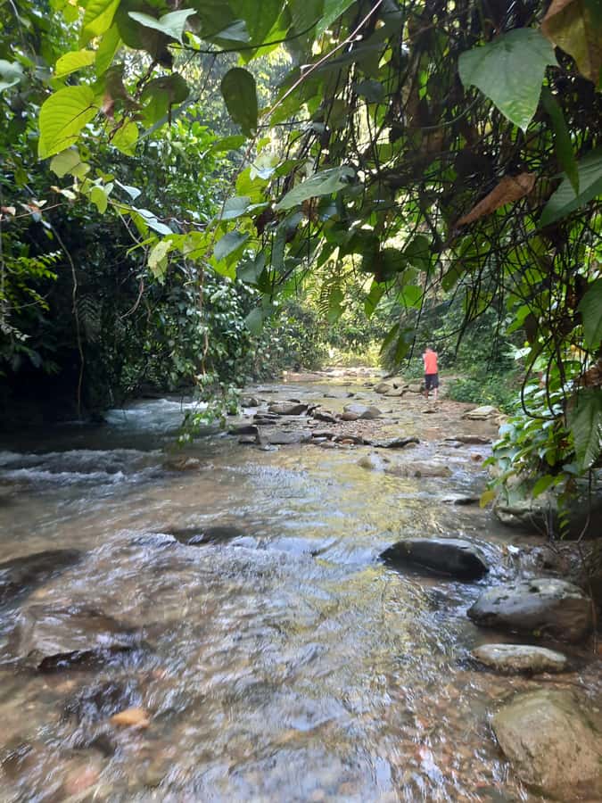 Bukit Lawang: Jungle Trekking and Rafting Day Trip - The guides make the difference: what great local leadership looks like