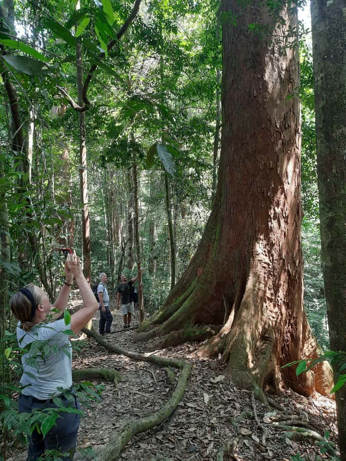 Bukit Lawang: Jungle Trekking and Rafting Day Trip - Lunch and route briefing: where you gear up for jungle time