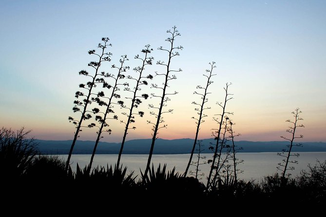 Cagliari urban trekking experience: the city you did not expect - Key Things I’d Target on This Walk