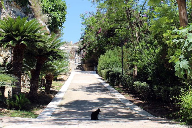 Cagliari urban trekking experience: the city you did not expect - Why Cagliari’s Castello Feels Like a City You Didn’t Expect