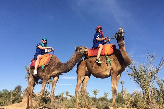 Camel Trek Around Marrakech Palmeraie - Getting There: Air-Conditioned Pickup and the Café de France Start