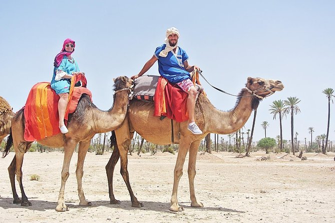 Camel Trek Around Marrakech Palmeraie - Time and Value: Why $34.89 Can Make Sense Here