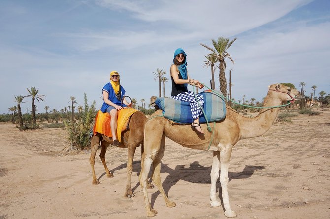 Camel Trek Around Marrakech Palmeraie - Mid-Ride Break: Moroccan Mint Tea Stops the Clock