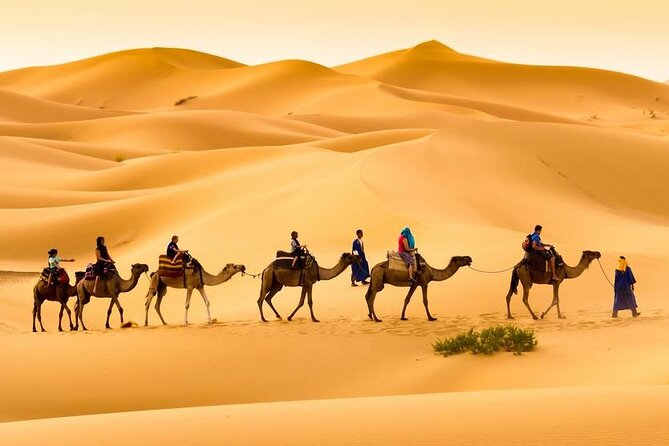 Camel trek with 1 Night in Luxury camp with Dinner+ Sundbording - Erg Chebbi in two days: what makes this camel trek worth it