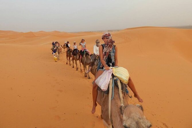 Camel trek with 1 Night in Luxury camp with Dinner+ Sundbording - Feeding camels in Merzouga: the part that feels most real