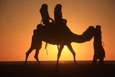 Camel trek with 1 Night in Luxury camp with Dinner+ Sundbording - Sunset on the dunes: climbing time and star-proof planning