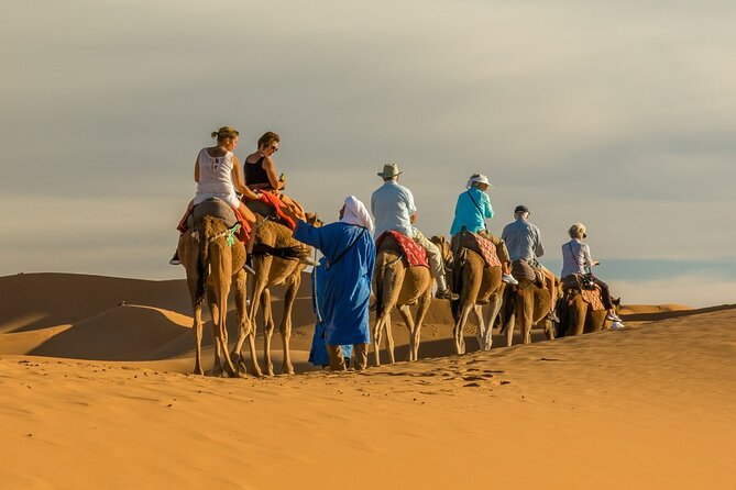 Camel trek with 1 Night in Luxury camp with Dinner+ Sundbording - Dawn wake-up, breakfast, and the shower that changes the day