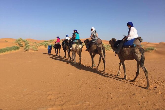 Camel trek with 1 Night in Luxury camp with Dinner+ Sundbording - Price and logistics: does $589 per person make sense?