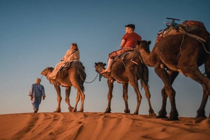 Camel Trekking & 1 Night in Merzouga Desert Camp - Why the Erg Chebbi Camel Trek feels different from a quick desert stop
