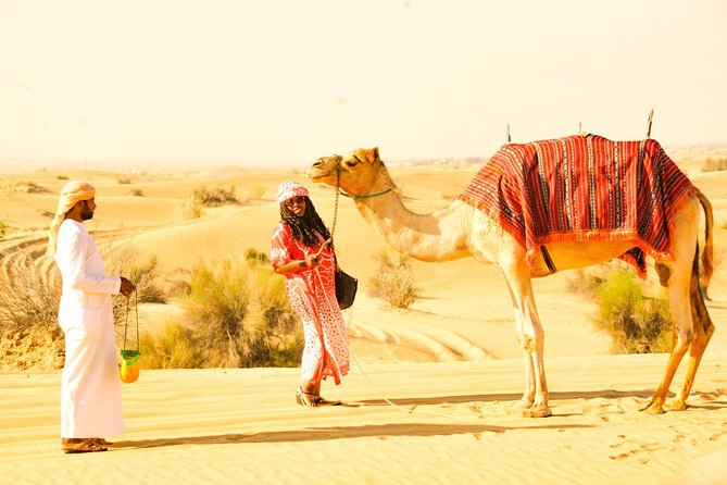 Camel Trekking and Morning Safari with Sand Boarding - Key highlights that make this safari worth your time