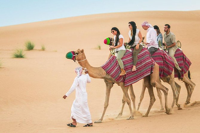 Camel Trekking and Morning Safari with Sand Boarding - Why this morning safari works better than the late-day version
