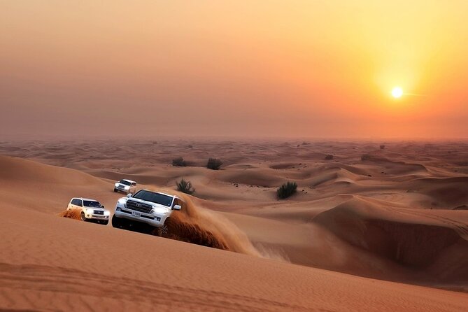 Camel Trekking Dubai with Dune Bashing and Sand Boarding - Key highlights you’ll feel right away