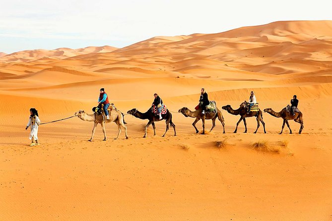 Camel Trekking Dubai with Dune Bashing and Sand Boarding - What’s included (and why it’s a good deal)