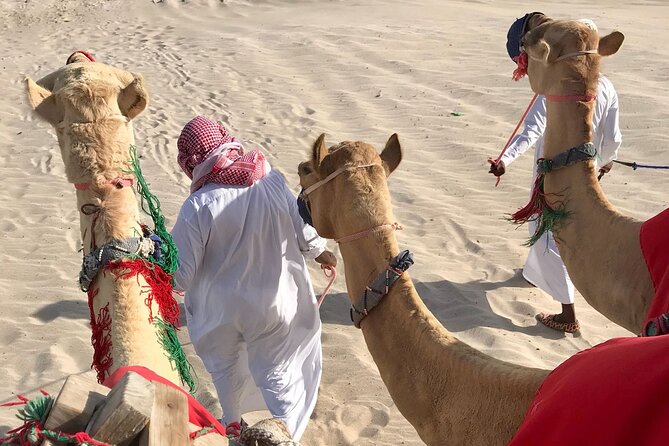 Camel trekking on the Dunes with Sunset - Who this tour is best for