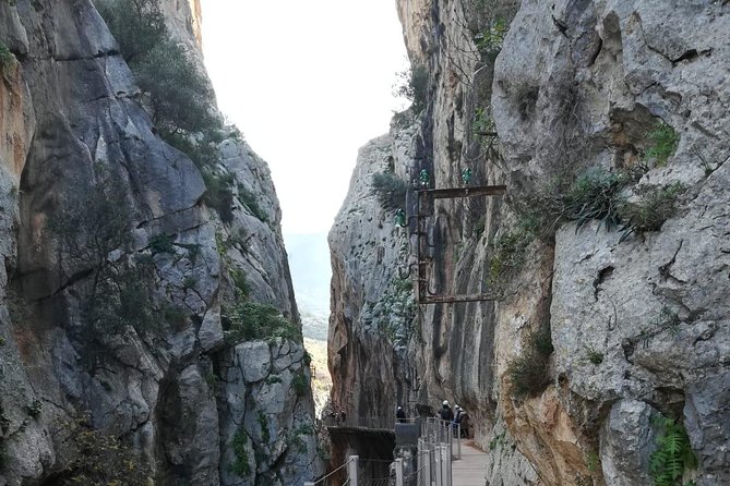 Caminito del Rey Trekking Walkway - Key Things I’d Prioritize Before You Go