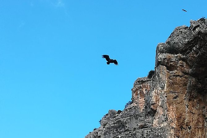 Caminito del Rey Trekking Walkway - Stop-by-Stop: What You’ll Do at El Kiosko and on the Caminito
