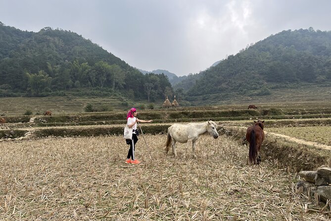 Cao Bang Easy Trekking Tours 2Days/1Night Ban Gioc Waterfall ET1 - Day 1: Ngao Cave, Tay stone houses, and lunch that teaches more than photos