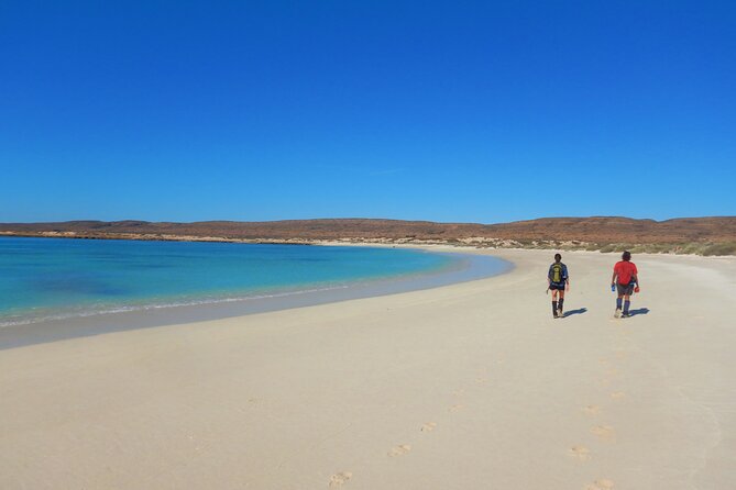 Cape Range National Park Full-Day Trekking Adventure - Cape Range on foot: why this feels better than a drive