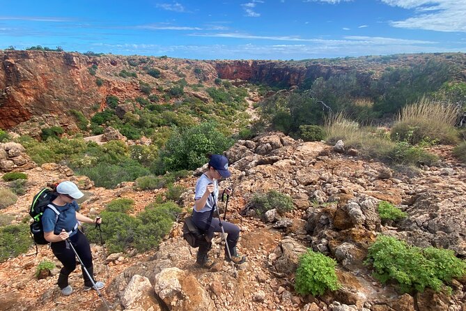 Cape Range National Park Full-Day Trekking Adventure - Bush lunch: the break that turns the day from hike to memory