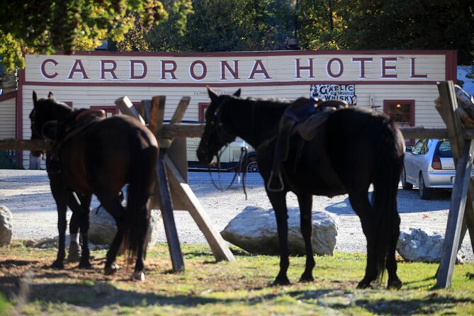 Cardrona High Country Pub Trail Horse Riding Trek (Intermediate+) - Key things to know before you ride