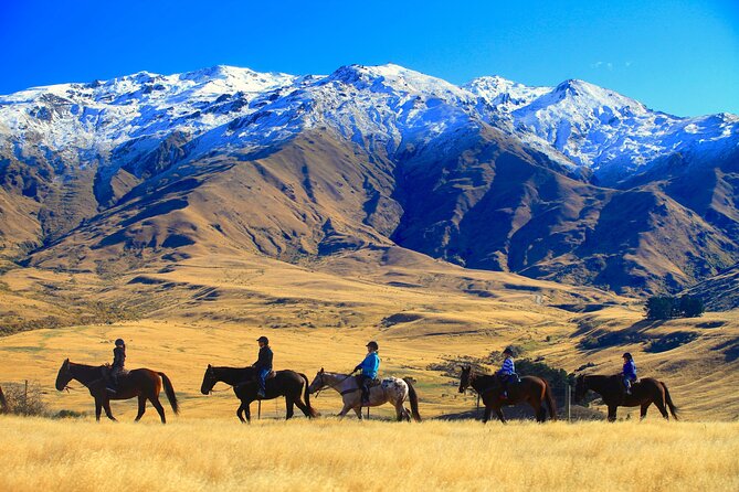 Cardrona High Country Pub Trail Horse Riding Trek (Intermediate+) - Getting started at Cardrona Valley Road (and why the timing matters)